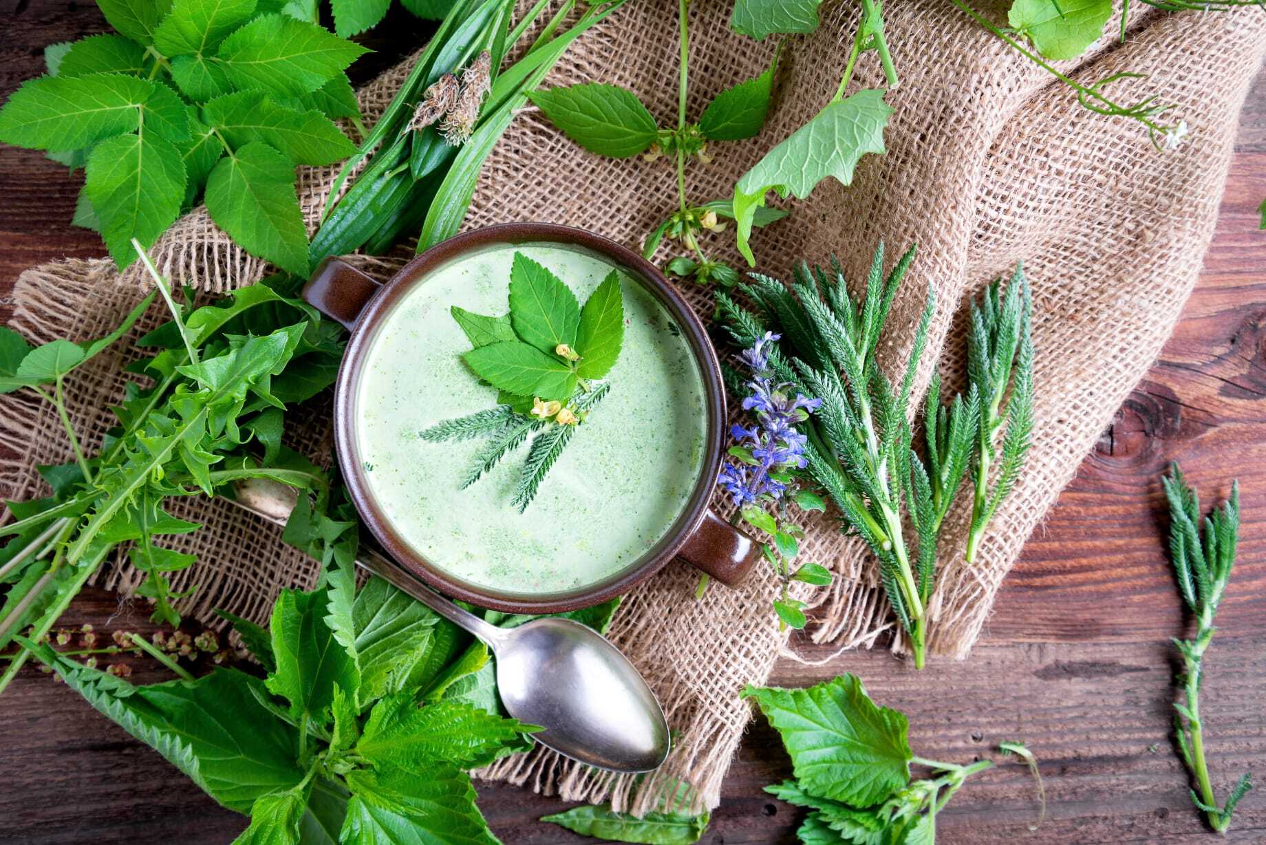 Brennesselsuppe mit Knoblauch-Ciabatta