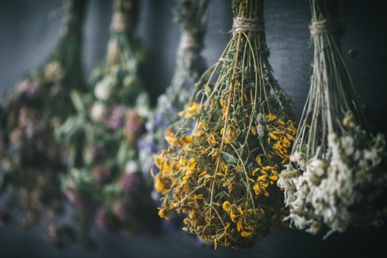 Hanging,Bunches,Of,Medicinal,Herbs,And,Flowers,,Focus,On,Hypericum