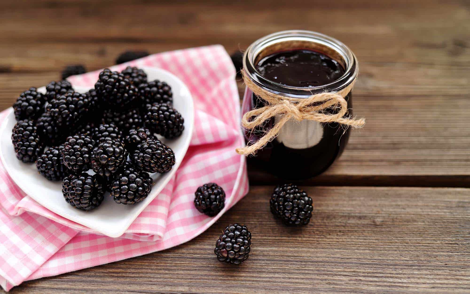 Holunderbeeren-Brombeer-Marmelade mit Rosmarin | Waldmahl.de